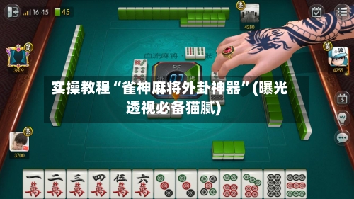 实操教程“雀神麻将外卦神器”(曝光透视必备猫腻)-第1张图片
