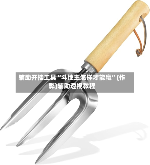 辅助开挂工具“斗地主怎样才能赢”(作弊)辅助透视教程-第3张图片