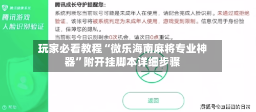 玩家必看教程“微乐海南麻将专业神器	”附开挂脚本详细步骤-第3张图片