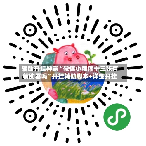 辅助开挂神器“微信小程序十三张有辅助器吗”开挂辅助脚本+详细开挂-第1张图片