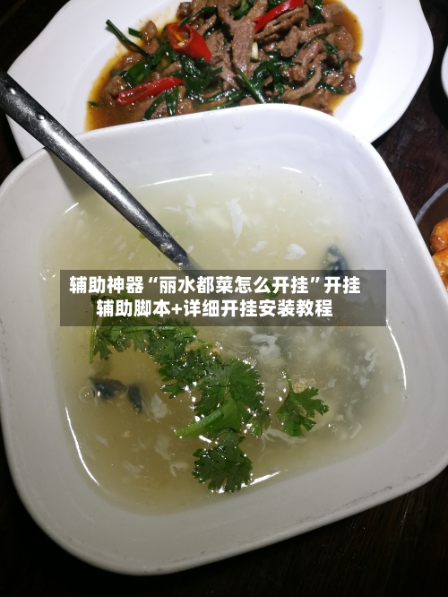 辅助神器“丽水都菜怎么开挂”开挂辅助脚本+详细开挂安装教程-第1张图片