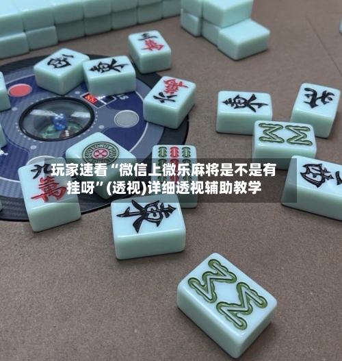 玩家速看“微信上微乐麻将是不是有挂呀	”(透视)详细透视辅助教学-第2张图片