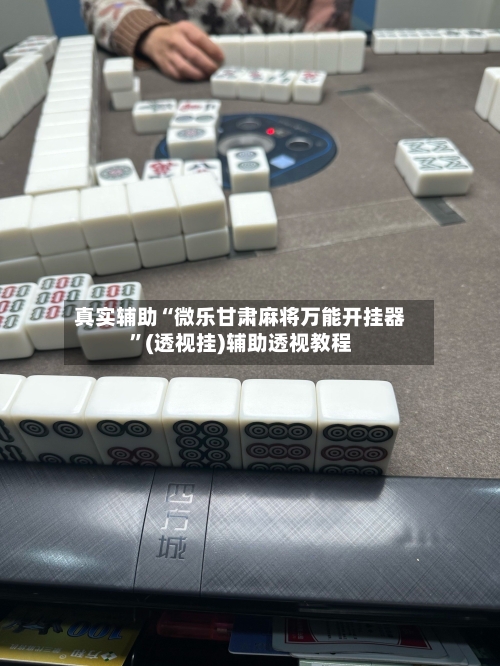 真实辅助“微乐甘肃麻将万能开挂器”(透视挂)辅助透视教程-第3张图片