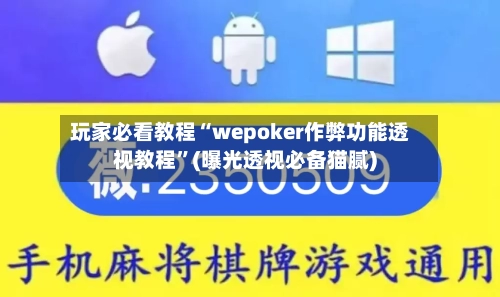 玩家必看教程“wepoker作弊功能透视教程	”(曝光透视必备猫腻)-第1张图片