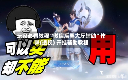 玩家必看教程“微信后羿大厅辅助”作弊(透视) 开挂辅助教程-第2张图片