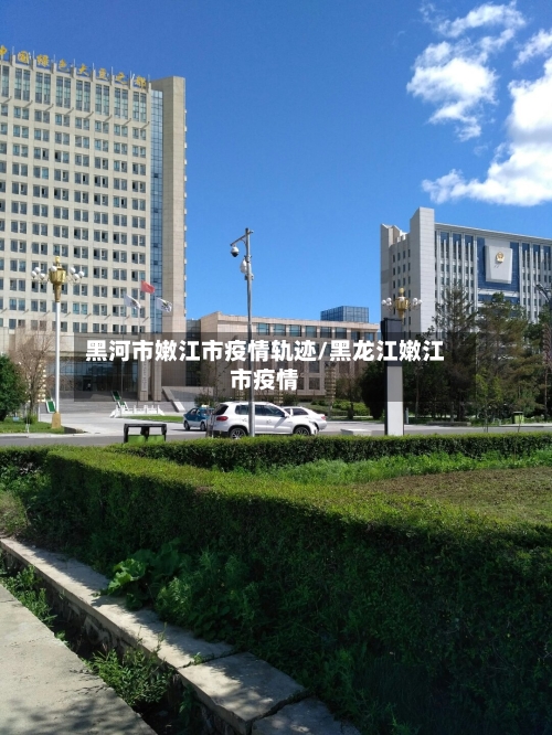 黑河市嫩江市疫情轨迹/黑龙江嫩江市疫情-第3张图片
