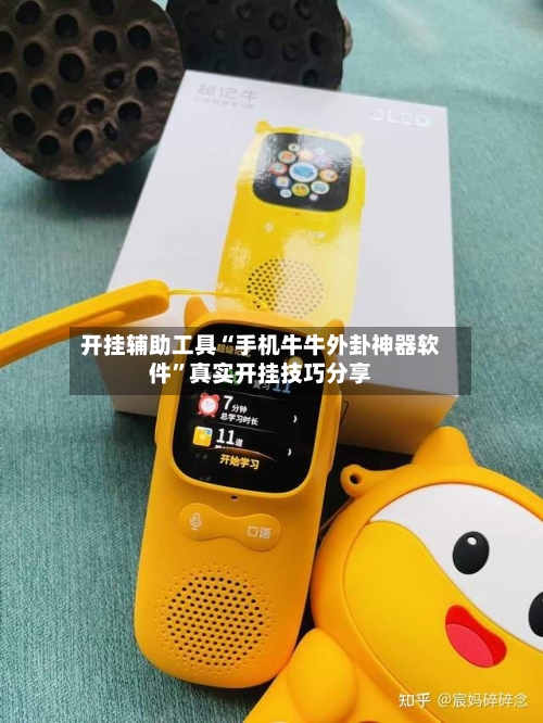 开挂辅助工具“手机牛牛外卦神器软件”真实开挂技巧分享-第3张图片