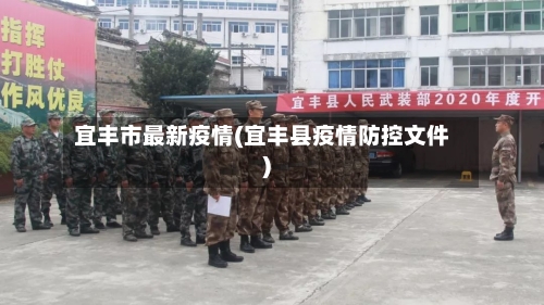 宜丰市最新疫情(宜丰县疫情防控文件)-第2张图片