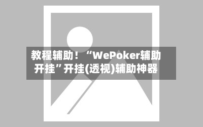 教程辅助！“WePoker辅助开挂”开挂(透视)辅助神器-第1张图片