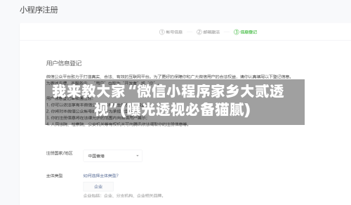 我来教大家“微信小程序家乡大贰透视”(曝光透视必备猫腻)-第2张图片