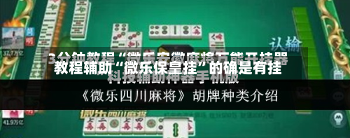 教程辅助“微乐保皇挂”的确是有挂-第3张图片