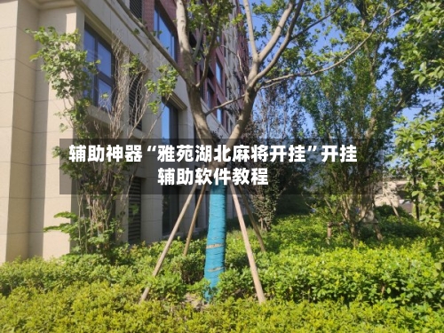 辅助神器“雅苑湖北麻将开挂”开挂辅助软件教程-第1张图片