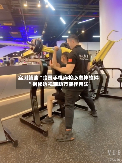 实测辅助“哈灵手机麻将必赢神软件	”揭秘透视辅助万能挂用法-第2张图片