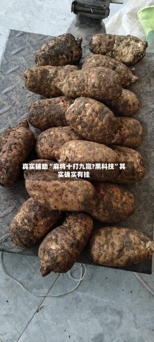 真实辅助“麻将十打九赢?黑科技	”其实确实有挂-第1张图片