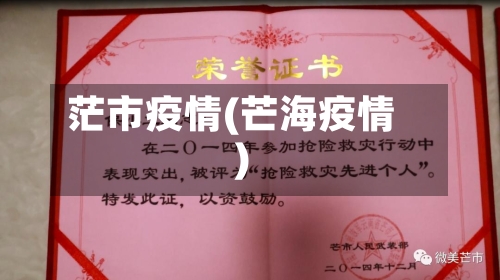 茫市疫情(芒海疫情)-第1张图片