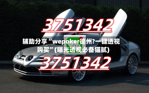 辅助分享“wepoker德州?一键透视购买”(曝光透视必备猫腻)-第1张图片