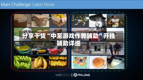 分享干货“中至游戏作弊辅助”开挂辅助详细-第2张图片