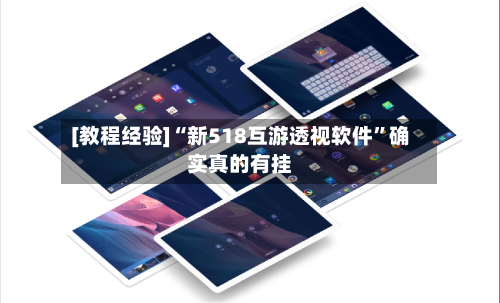 [教程经验]“新518互游透视软件”确实真的有挂-第1张图片