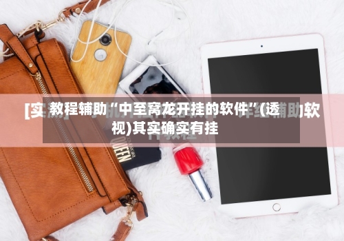 教程辅助“中至窝龙开挂的软件”(透视)其实确实有挂-第2张图片