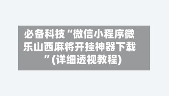 必备科技“微信小程序微乐山西麻将开挂神器下载”(详细透视教程)-第3张图片