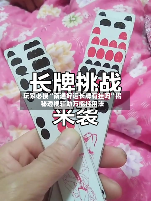 玩家必搜“南通好运长牌有挂吗”揭秘透视辅助万能挂用法-第1张图片