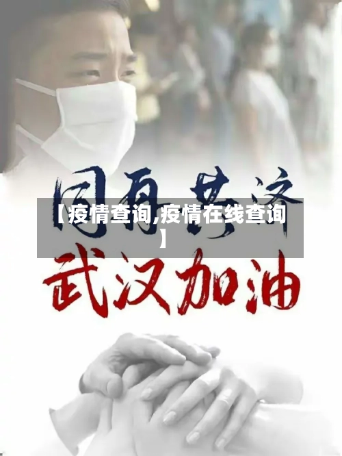 【疫情查询,疫情在线查询】-第2张图片