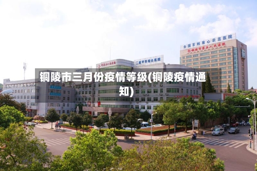 铜陵市三月份疫情等级(铜陵疫情通知)-第3张图片