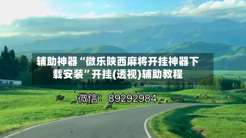 辅助神器“微乐陕西麻将开挂神器下载安装	”开挂(透视)辅助教程-第2张图片