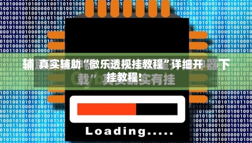 真实辅助“微乐透视挂教程”详细开挂教程!-第1张图片