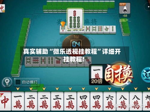 真实辅助“微乐透视挂教程	”详细开挂教程!-第2张图片