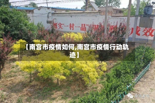 【南宫市疫情如何,南宫市疫情行动轨迹】-第2张图片