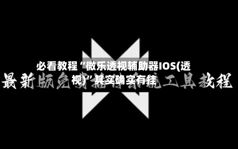 必看教程“微乐透视辅助器IOS(透视)”其实确实有挂-第2张图片