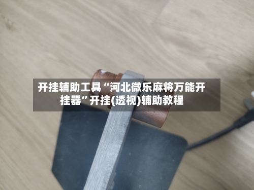 开挂辅助工具“河北微乐麻将万能开挂器”开挂(透视)辅助教程-第1张图片