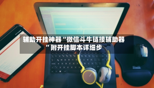 辅助开挂神器“微信斗牛链接辅助器”附开挂脚本详细步-第2张图片