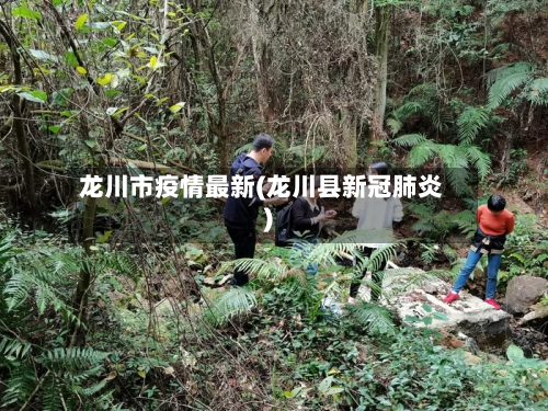 龙川市疫情最新(龙川县新冠肺炎)-第1张图片