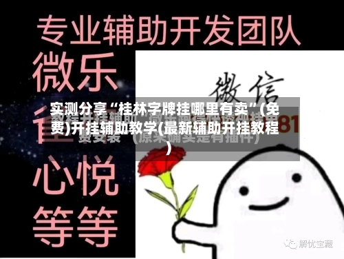 实测分享“桂林字牌挂哪里有卖”(免费)开挂辅助教学(最新辅助开挂教程)-第3张图片