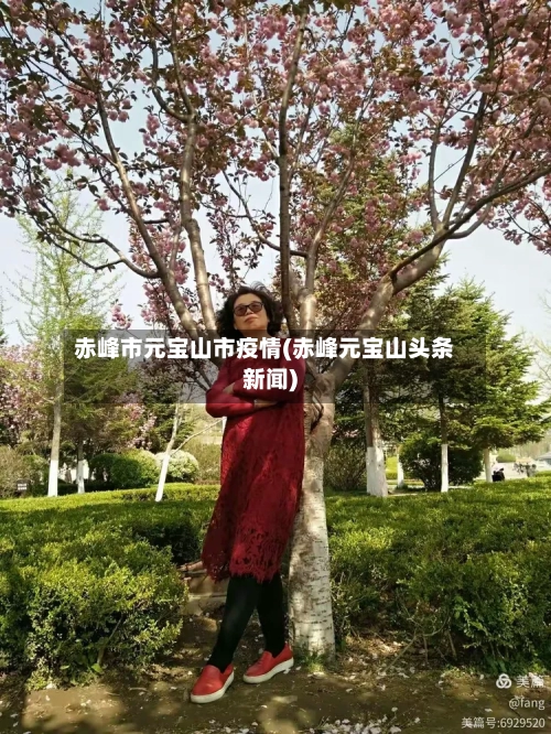 赤峰市元宝山市疫情(赤峰元宝山头条新闻)-第2张图片