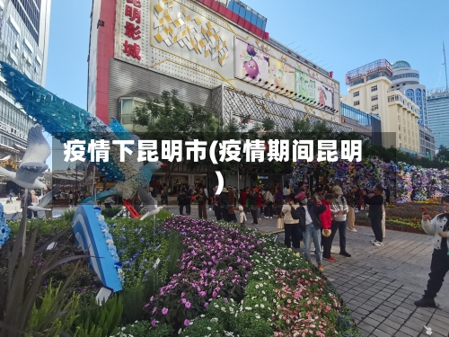 疫情下昆明市(疫情期间昆明)-第1张图片
