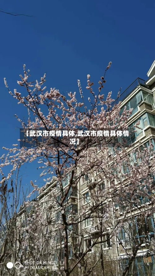 【武汉市疫情具体,武汉市疫情具体情况】-第2张图片