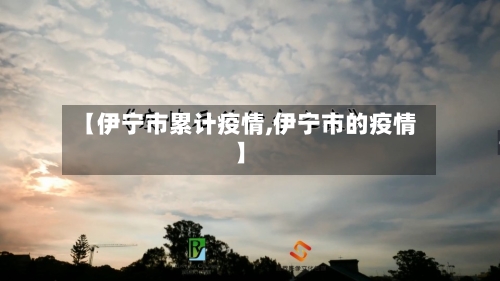 【伊宁市累计疫情,伊宁市的疫情】-第2张图片