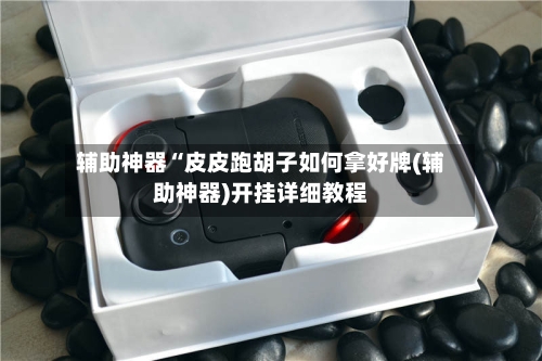 辅助神器“皮皮跑胡子如何拿好牌(辅助神器)开挂详细教程-第1张图片
