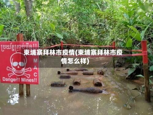 柬埔寨拜林市疫情(柬埔寨拜林市疫情怎么样)-第2张图片