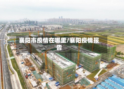 襄阳市疫情在哪里/襄阳疫情报告-第1张图片