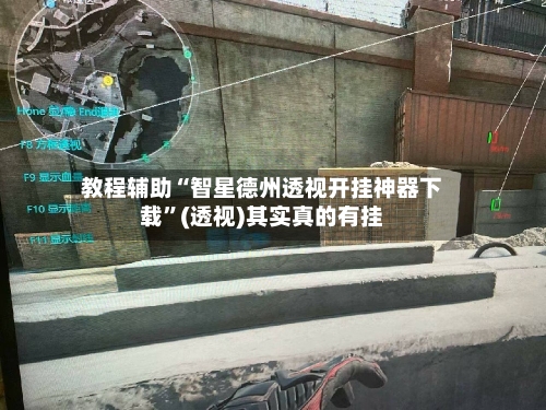 教程辅助“智星德州透视开挂神器下载	”(透视)其实真的有挂-第1张图片