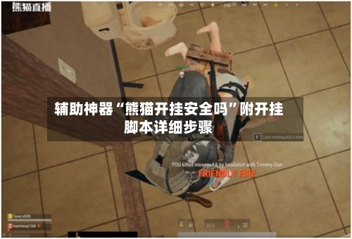 辅助神器“熊猫开挂安全吗”附开挂脚本详细步骤-第2张图片