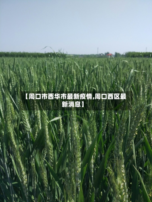 【周口市西华市最新疫情,周口西区最新消息】-第2张图片