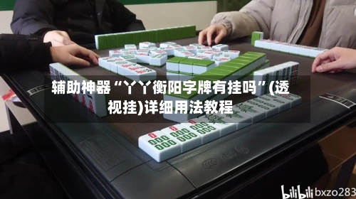 辅助神器“丫丫衡阳字牌有挂吗”(透视挂)详细用法教程-第1张图片