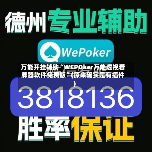 万能开挂辅助“WEPOker万能透视看牌器软件免费版”(原来确实是有插件)-第2张图片