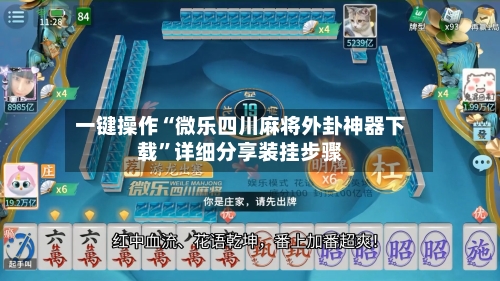 一键操作“微乐四川麻将外卦神器下载”详细分享装挂步骤-第2张图片