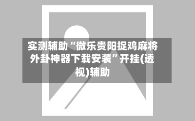 实测辅助“微乐贵阳捉鸡麻将外卦神器下载安装	”开挂(透视)辅助-第2张图片
